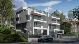 SDT_Render01E